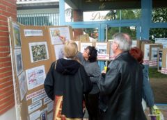 20110403-journee-developpement-durable-tournefeuille-2.jpg
